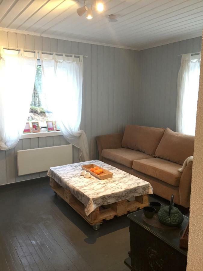 Koselig Hytte I 海姆瑟达尔 外观 照片